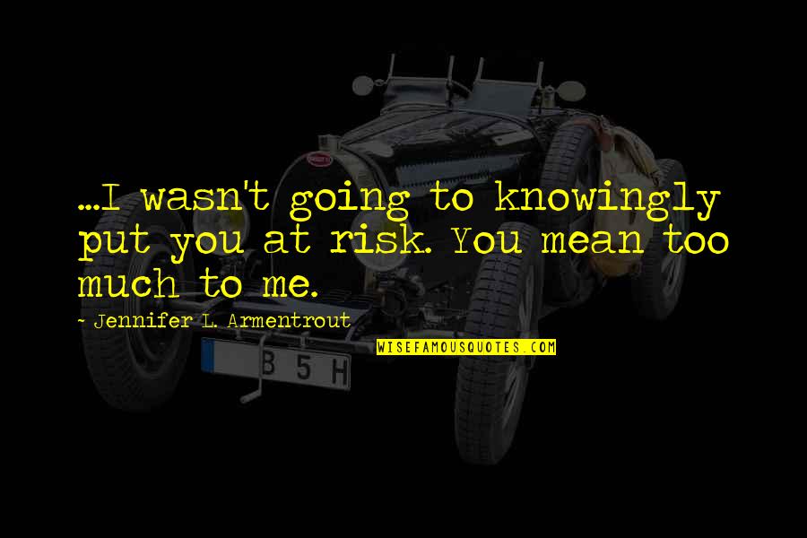 Little Red Quote Quotes By Jennifer L. Armentrout: ...I wasn't going to knowingly put you at