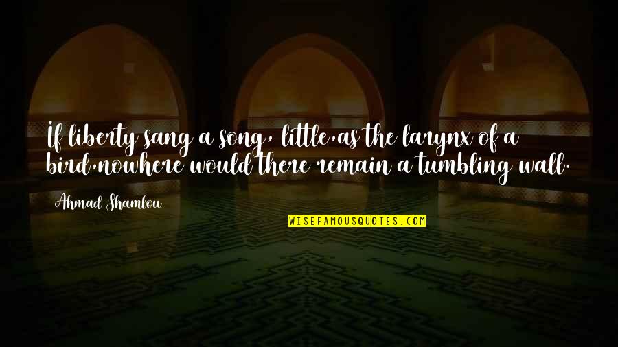 Little Song Quotes By Ahmad Shamlou: If liberty sang a song, little,as the larynx Little Song Quotes By Ahmad Shamlou: If liberty sang a song, little,as the larynx