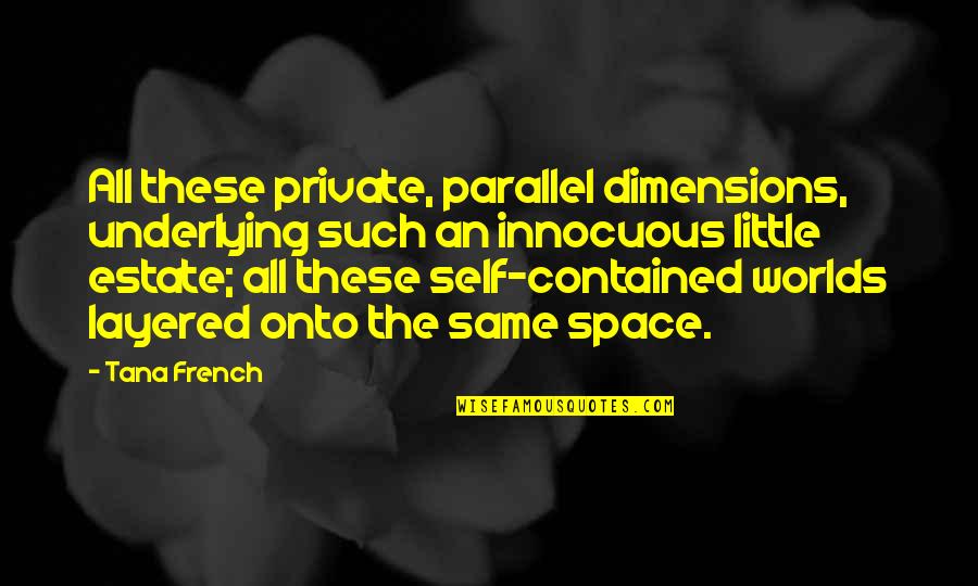 Little Space Quotes By Tana French: All these private, parallel dimensions, underlying such an