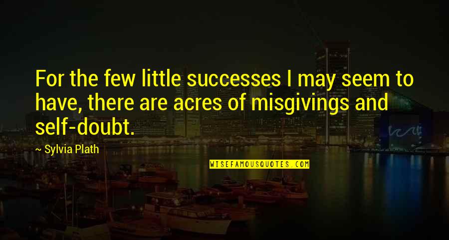 Little Successes Quotes By Sylvia Plath: For the few little successes I may seem
