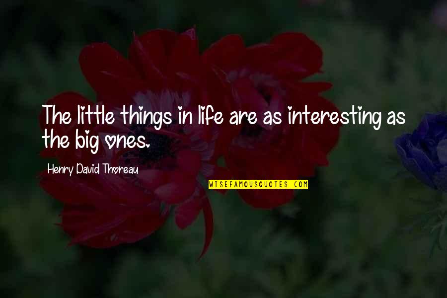 Little Things In Life Quotes By Henry David Thoreau: The little things in life are as interesting