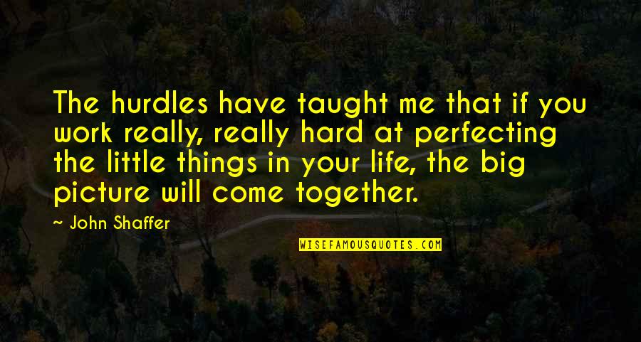 Little Things In Life Quotes By John Shaffer: The hurdles have taught me that if you