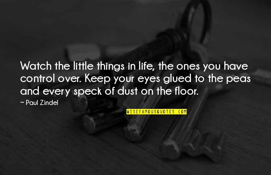 Little Things In Life Quotes By Paul Zindel: Watch the little things in life, the ones