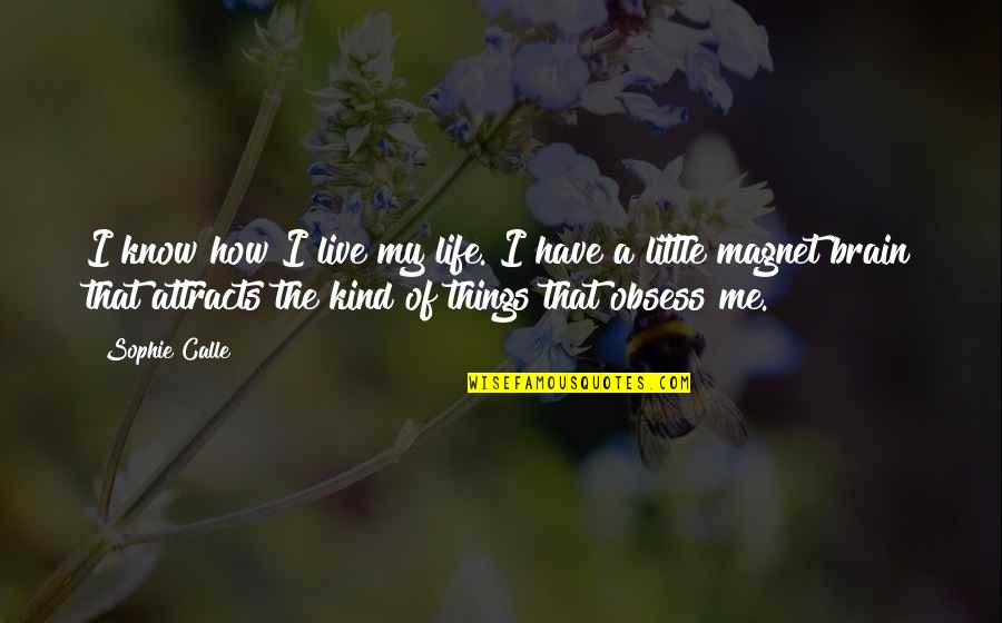 Little Things Life Quotes By Sophie Calle: I know how I live my life. I