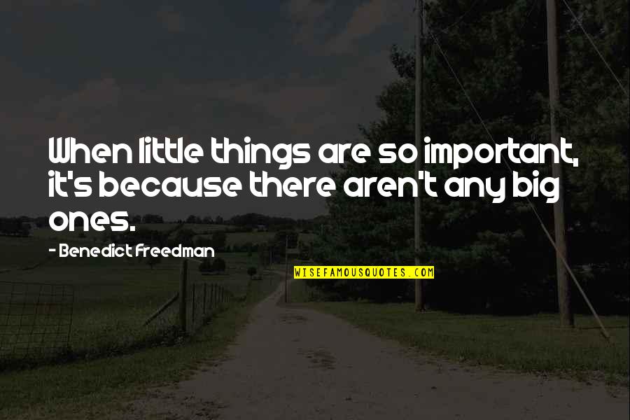 Little Things Quotes By Benedict Freedman: When little things are so important, it's because