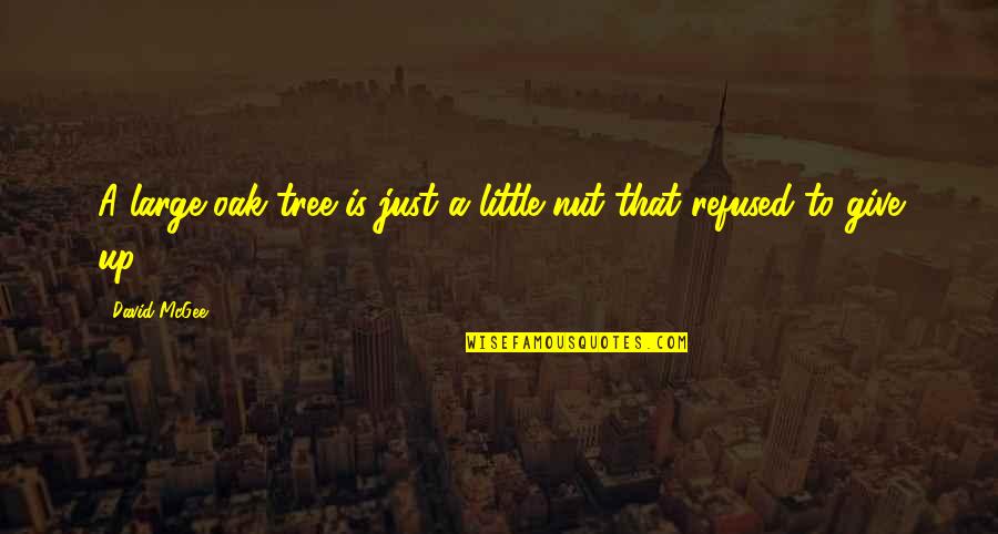 Little Tree Quotes By David McGee: A large oak tree is just a little
