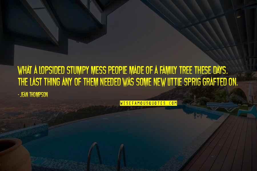 Little Tree Quotes By Jean Thompson: What a lopsided stumpy mess people made of