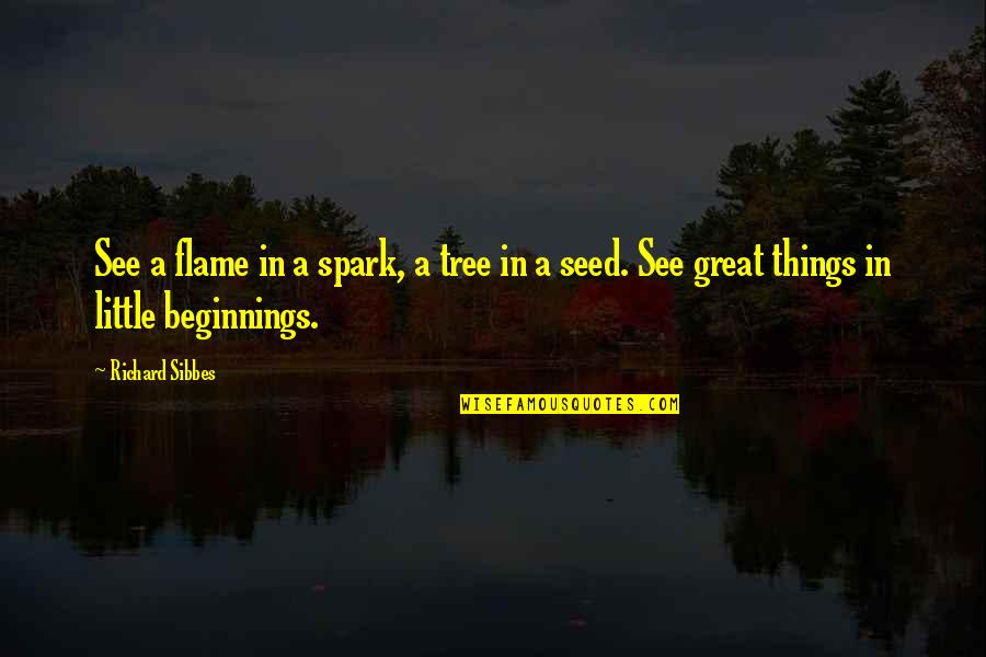 Little Tree Quotes By Richard Sibbes: See a flame in a spark, a tree