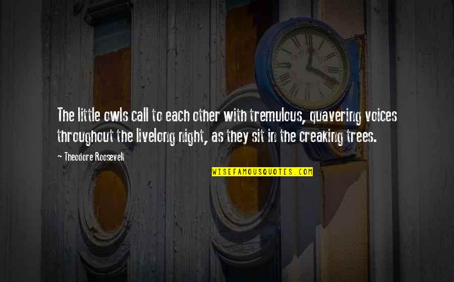 Little Tree Quotes By Theodore Roosevelt: The little owls call to each other with