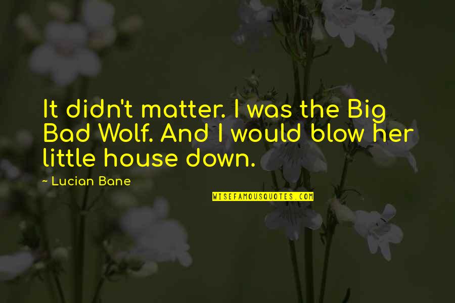 Little Wolf Quotes By Lucian Bane: It didn't matter. I was the Big Bad