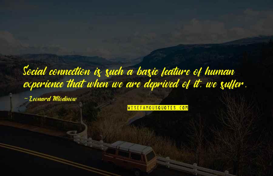 Littlenesses Quotes By Leonard Mlodinow: Social connection is such a basic feature of