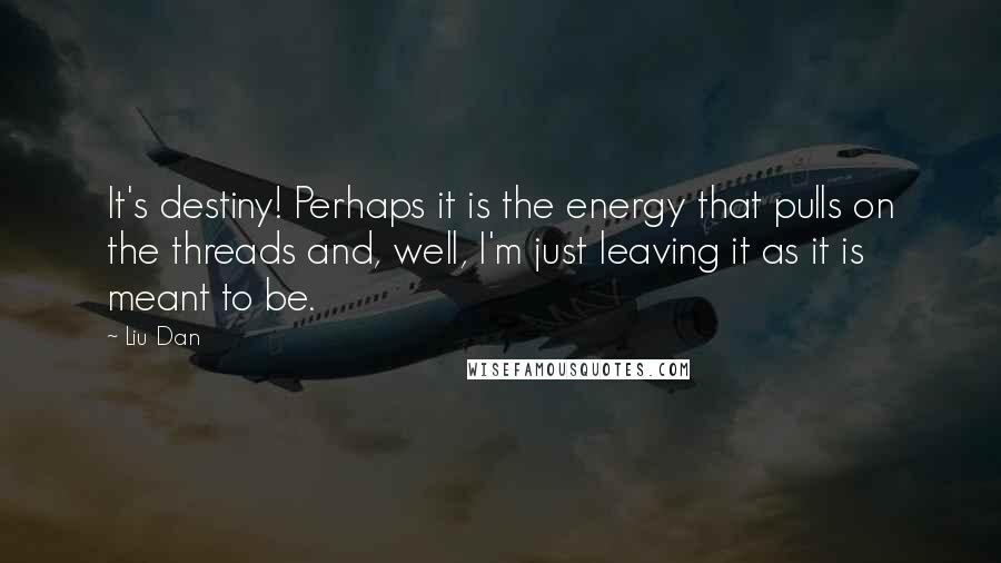 Liu Dan quotes: It's destiny! Perhaps it is the energy that pulls on the threads and, well, I'm just leaving it as it is meant to be.