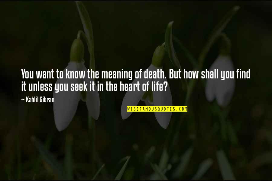Liudan Quotes By Kahlil Gibran: You want to know the meaning of death.