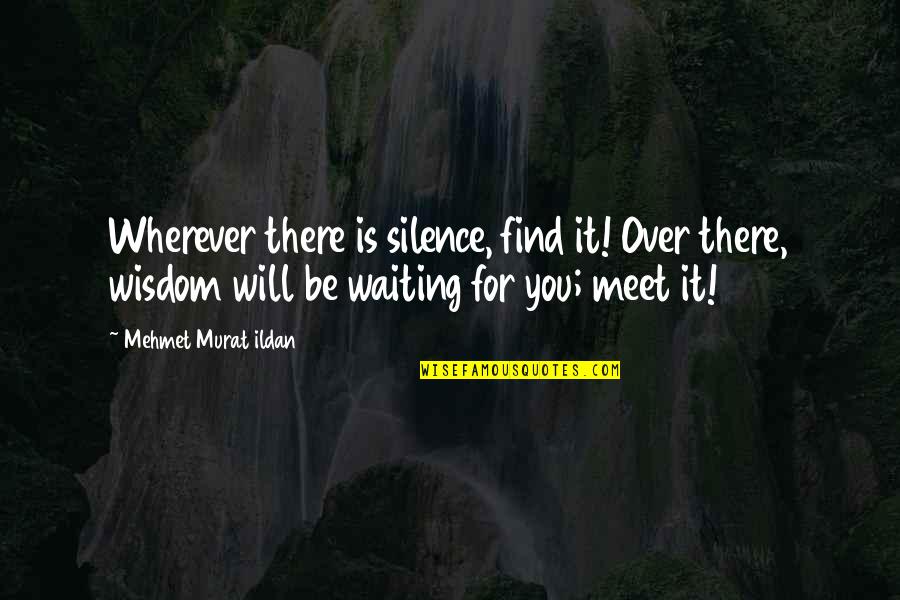 Liupanshan Quotes By Mehmet Murat Ildan: Wherever there is silence, find it! Over there,