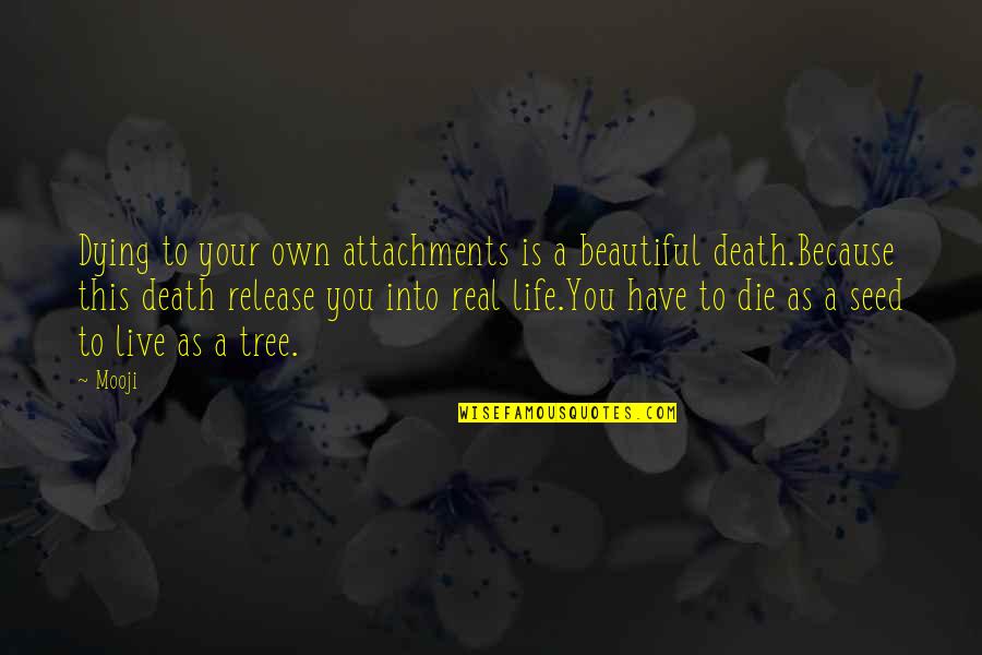 Live A Beautiful Life Quotes By Mooji: Dying to your own attachments is a beautiful