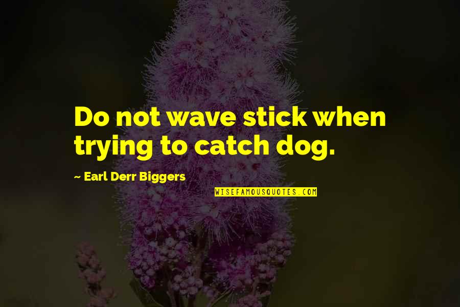Live A Little Love A Lot Quotes By Earl Derr Biggers: Do not wave stick when trying to catch Live A Little Love A Lot Quotes By Earl Derr Biggers: Do not wave stick when trying to catch