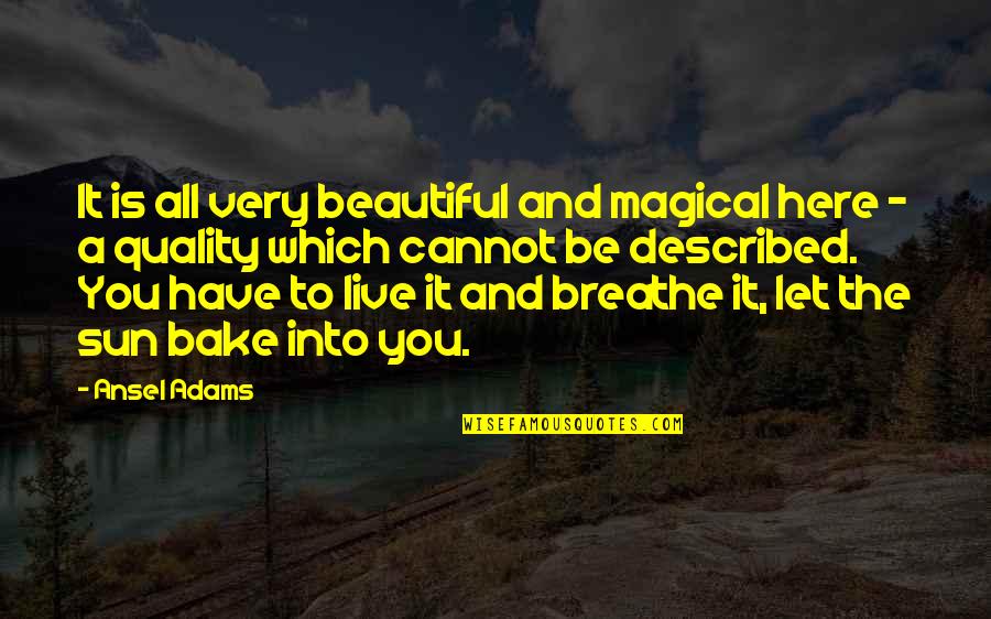 Live And Breathe Quotes By Ansel Adams: It is all very beautiful and magical here Live And Breathe Quotes By Ansel Adams: It is all very beautiful and magical here