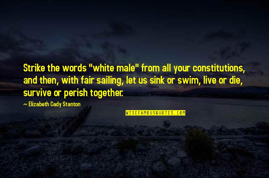 Live And Let Die Quotes By Elizabeth Cady Stanton: Strike the words "white male" from all your