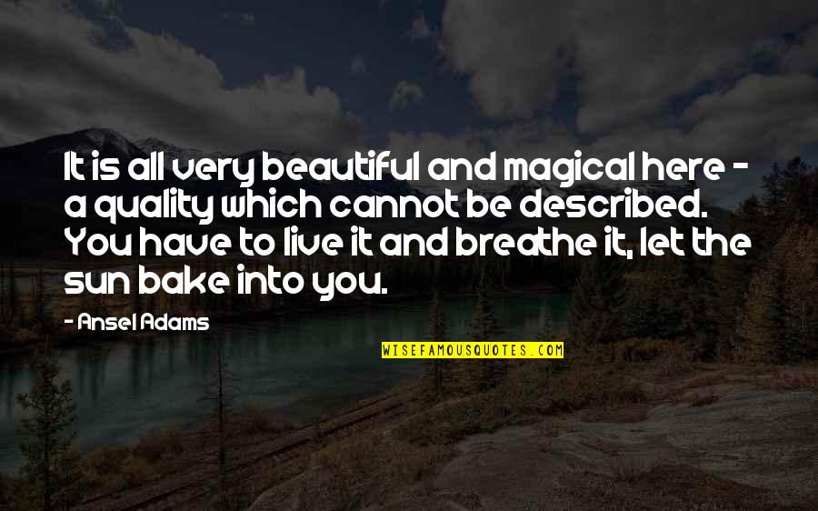 Live And Let Quotes By Ansel Adams: It is all very beautiful and magical here