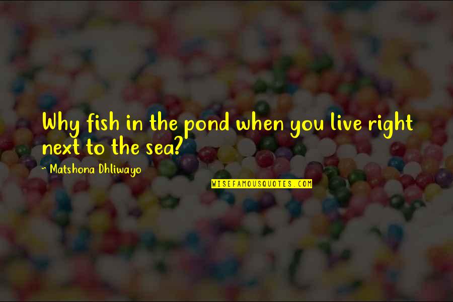 Live And The Sea Quotes By Matshona Dhliwayo: Why fish in the pond when you live