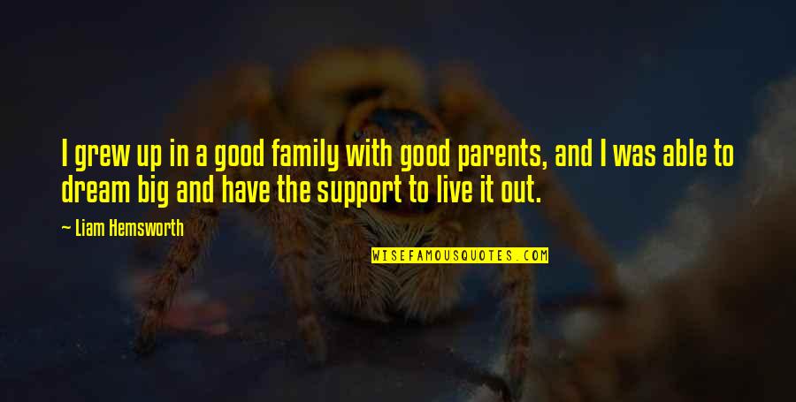 Live Big Quotes By Liam Hemsworth: I grew up in a good family with Live Big Quotes By Liam Hemsworth: I grew up in a good family with