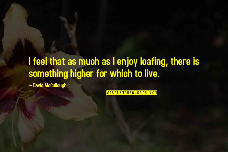 Live For Something Quotes By David McCullough: I feel that as much as I enjoy