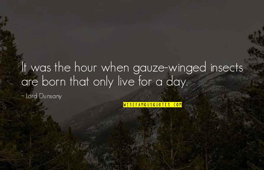 Live For The Day Quotes By Lord Dunsany: It was the hour when gauze-winged insects are
