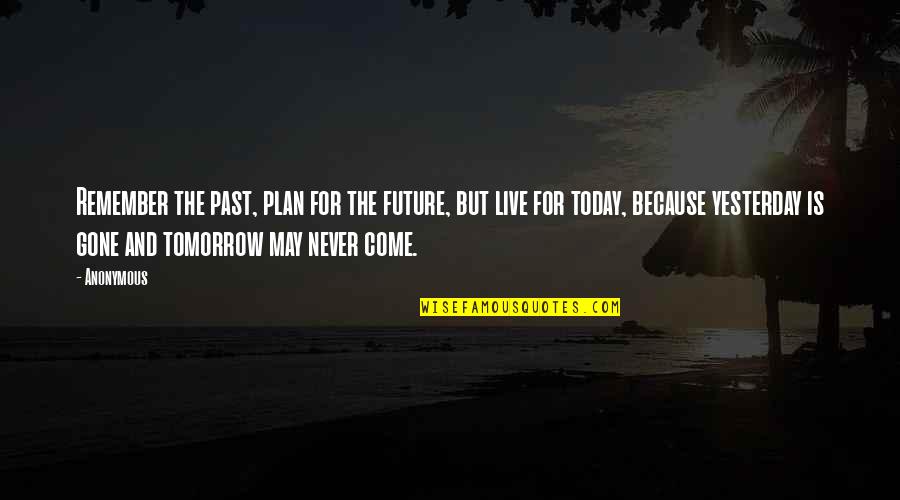 Live For Today Plan For Tomorrow Quotes By Anonymous: Remember the past, plan for the future, but