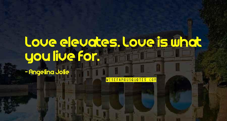 Live For What You Love Quotes By Angelina Jolie: Love elevates. Love is what you live for.