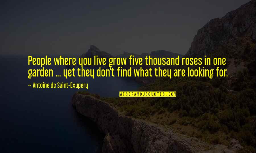 Live For What You Love Quotes By Antoine De Saint-Exupery: People where you live grow five thousand roses