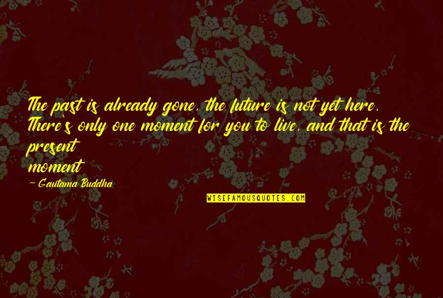 Live For You Quotes By Gautama Buddha: The past is already gone, the future is Live For You Quotes By Gautama Buddha: The past is already gone, the future is