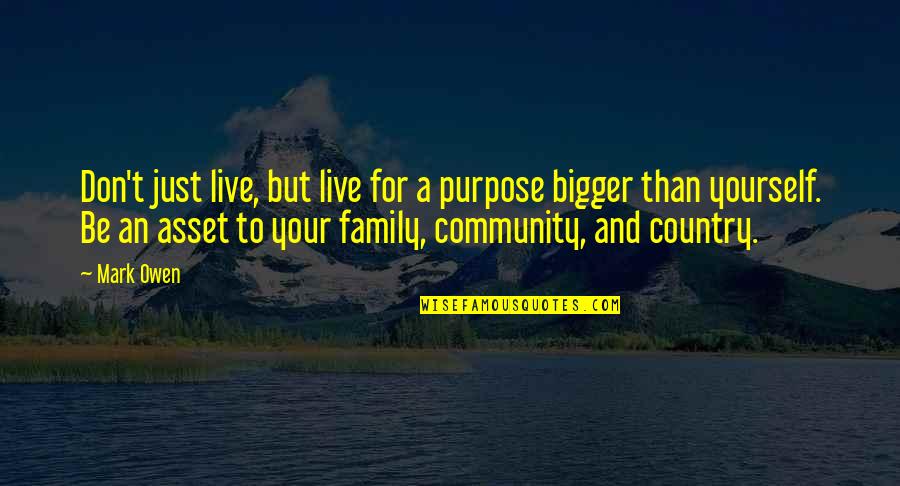 Live For Yourself Quotes By Mark Owen: Don't just live, but live for a purpose