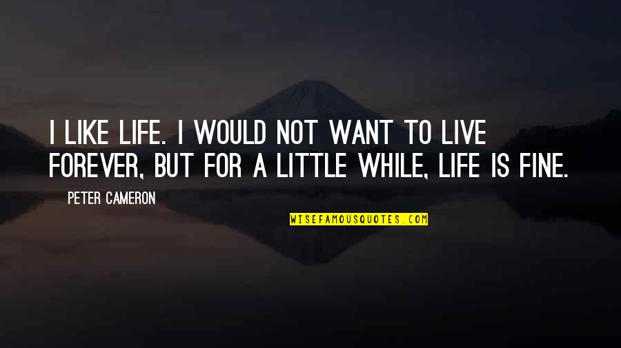 Live Forever Quotes By Peter Cameron: I like life. I would not want to