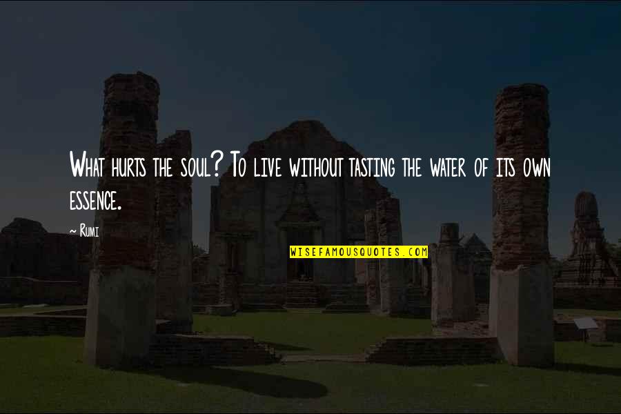 Live From Your Soul Essence Quotes By Rumi: What hurts the soul? To live without tasting