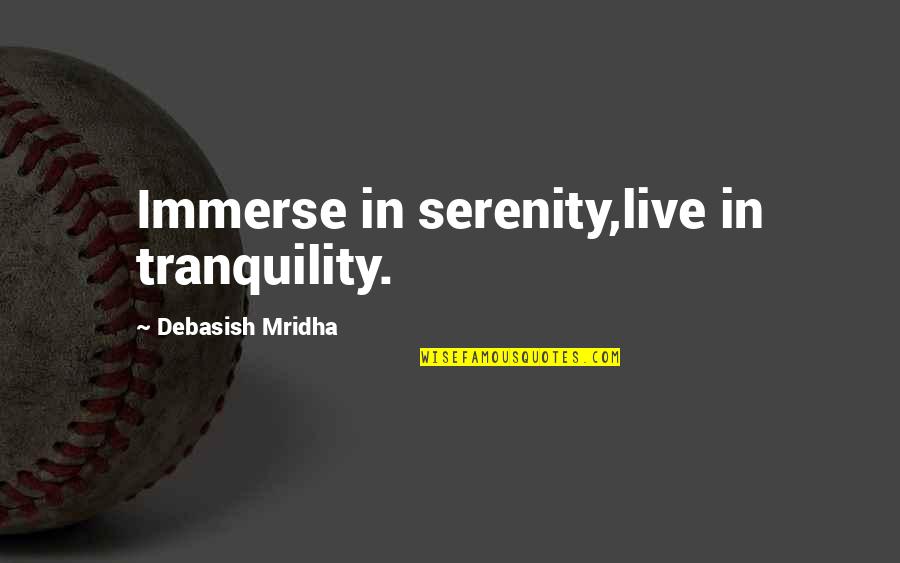 Live In Happiness Quotes By Debasish Mridha: Immerse in serenity,live in tranquility.