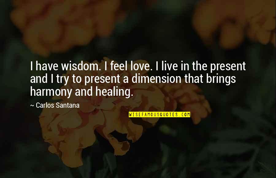 Live In Harmony Quotes By Carlos Santana: I have wisdom. I feel love. I live