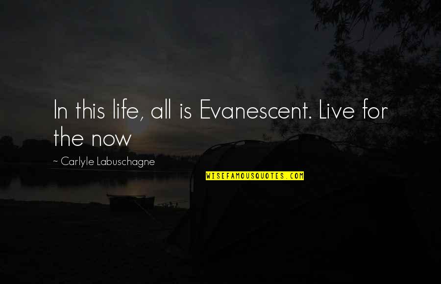Live In Life Quotes By Carlyle Labuschagne: In this life, all is Evanescent. Live for