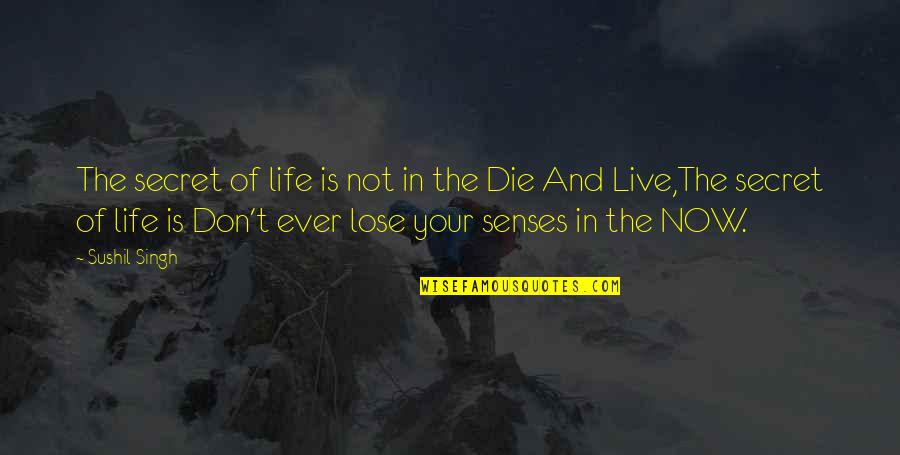 Live In Now Quotes By Sushil Singh: The secret of life is not in the