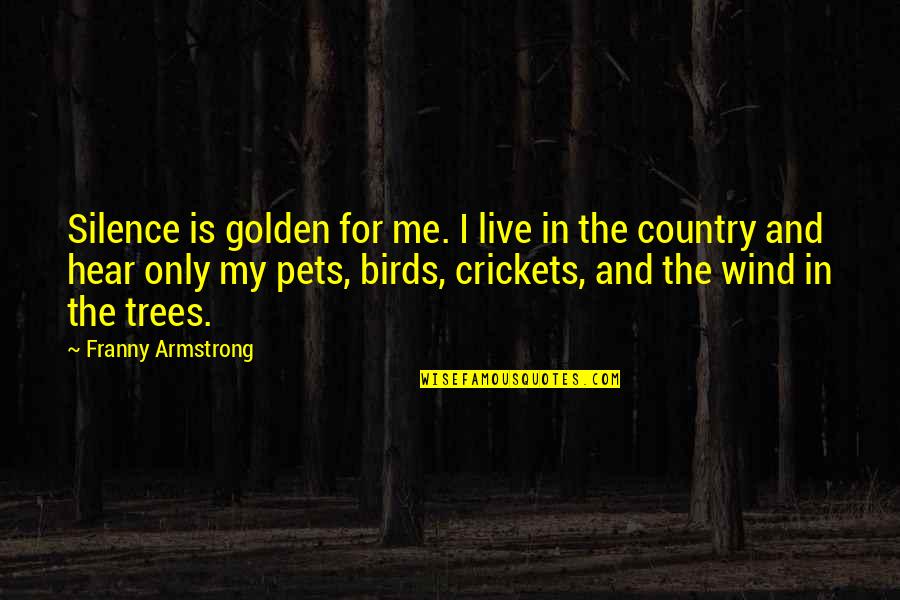 Live In Silence Quotes By Franny Armstrong: Silence is golden for me. I live in