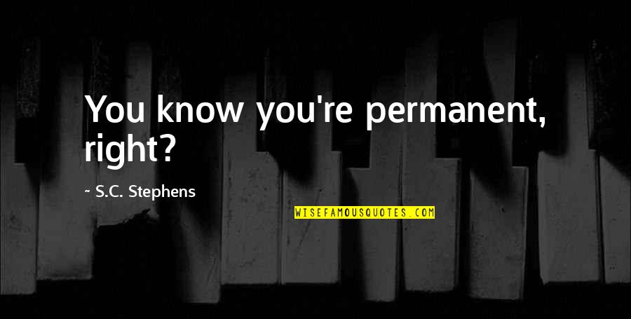 Live Learn And Forget Quotes By S.C. Stephens: You know you're permanent, right? Live Learn And Forget Quotes By S.C. Stephens: You know you're permanent, right?