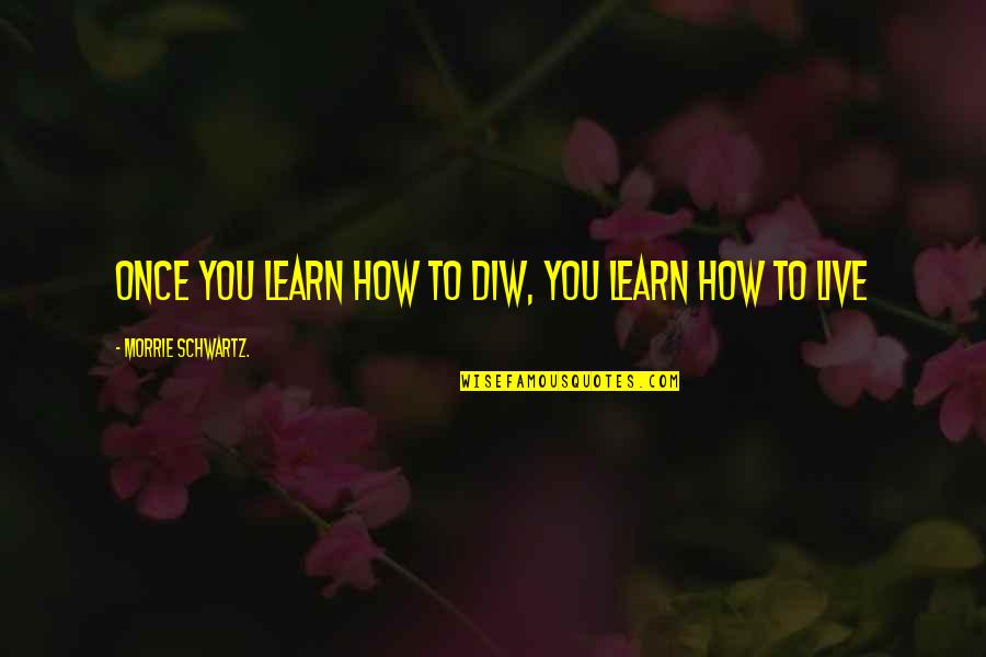 Live Learn Quotes By Morrie Schwartz.: Once you learn how to diw, you learn Live Learn Quotes By Morrie Schwartz.: Once you learn how to diw, you learn