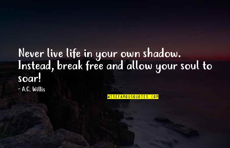 Live Life Free Quotes By A.C. Willis: Never live life in your own shadow. Instead,