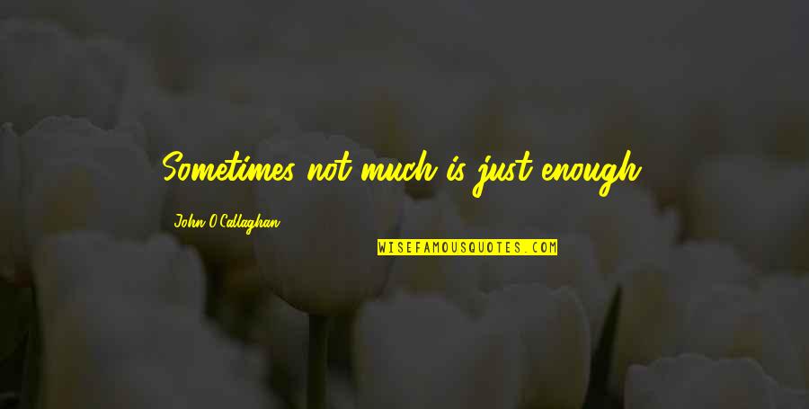Live Life Free Quotes By John O'Callaghan: Sometimes not much is just enough.
