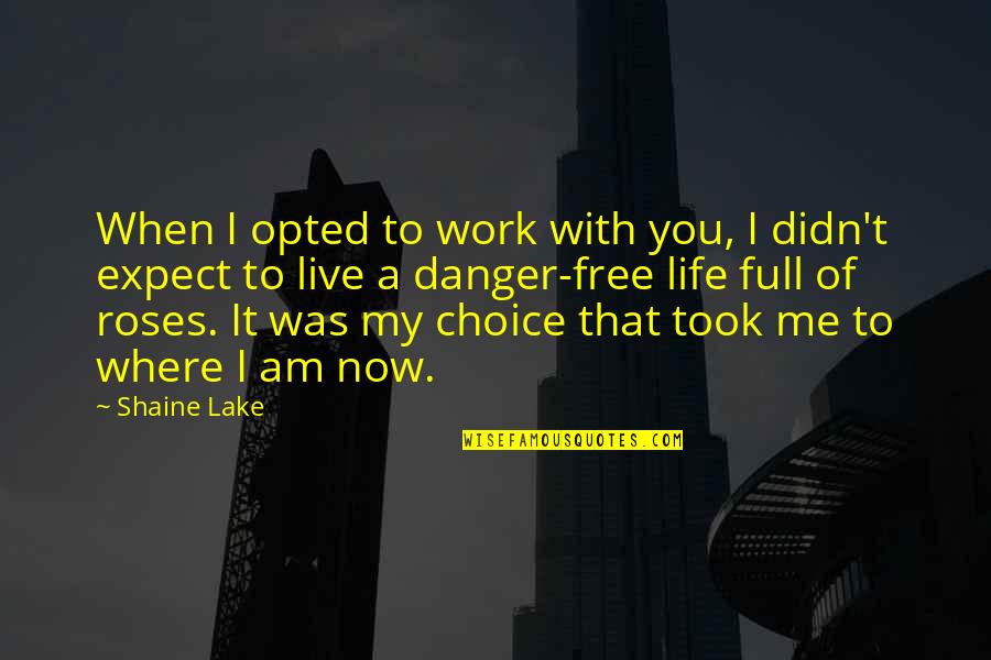 Live Life Free Quotes By Shaine Lake: When I opted to work with you, I