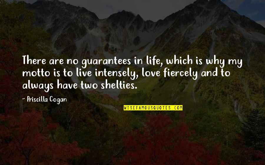 Live Life Intensely Quotes By Priscilla Cogan: There are no guarantees in life, which is