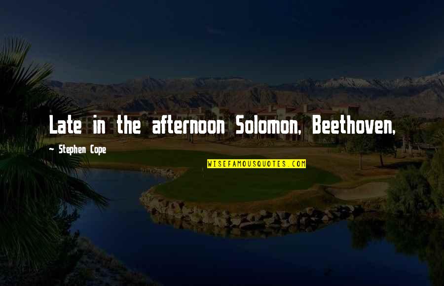 Live Life Intensely Quotes By Stephen Cope: Late in the afternoon Solomon, Beethoven,