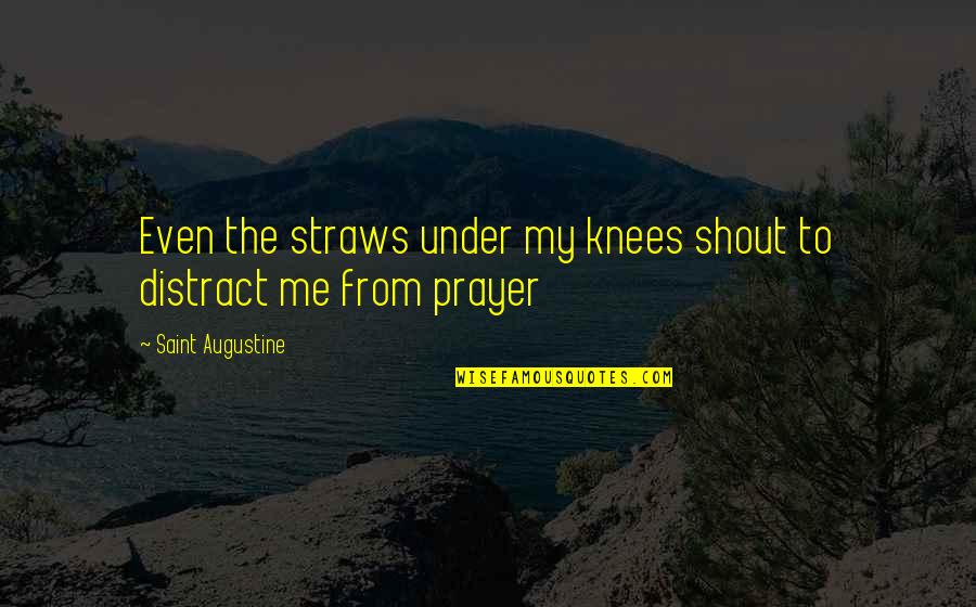 Live Life Positively Quotes By Saint Augustine: Even the straws under my knees shout to