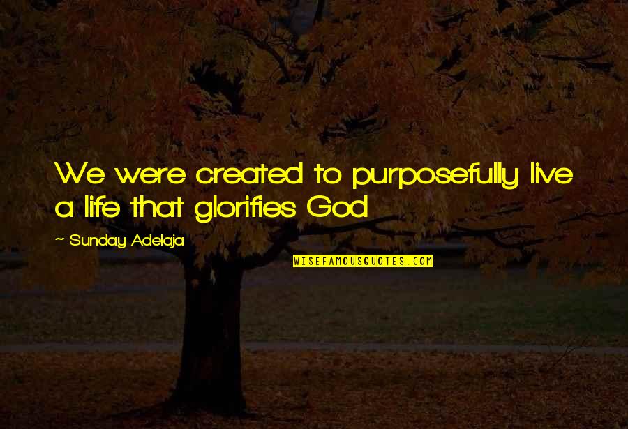 Live Life With God Quotes By Sunday Adelaja: We were created to purposefully live a life