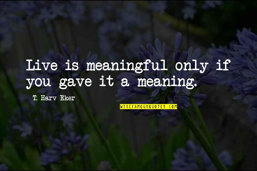 Live Life With Meaning Quotes By T. Harv Eker: Live is meaningful only if you gave it