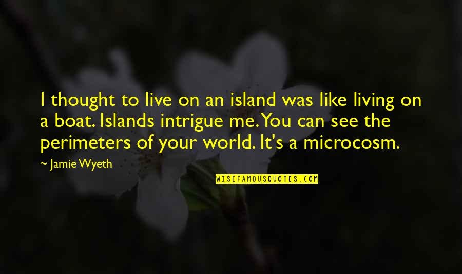 Live Like Quotes By Jamie Wyeth: I thought to live on an island was